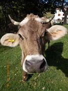 30- E CURIOSE